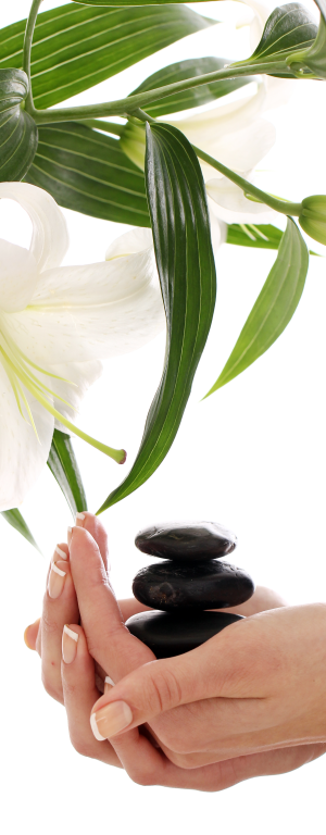 stundenweise Raummiete Heilpraktiker:innen - Workshop, Training, Kurse, Seminare